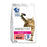 Perfect Fit Cat Complete Dry Adult 1+ Beef ECOM Only 7kg